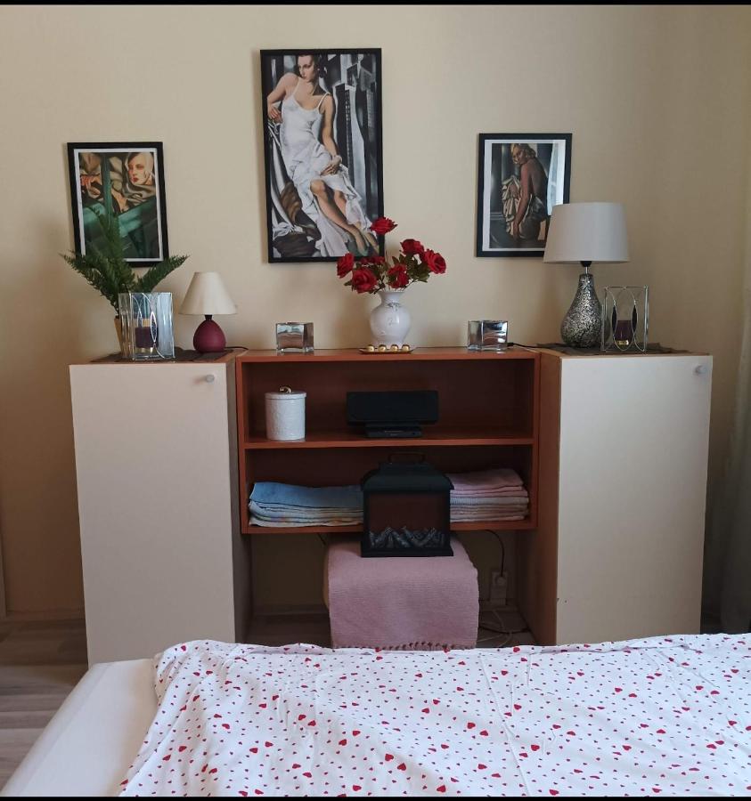 Panorama Apartment Near Szeged Plaza 外观 照片